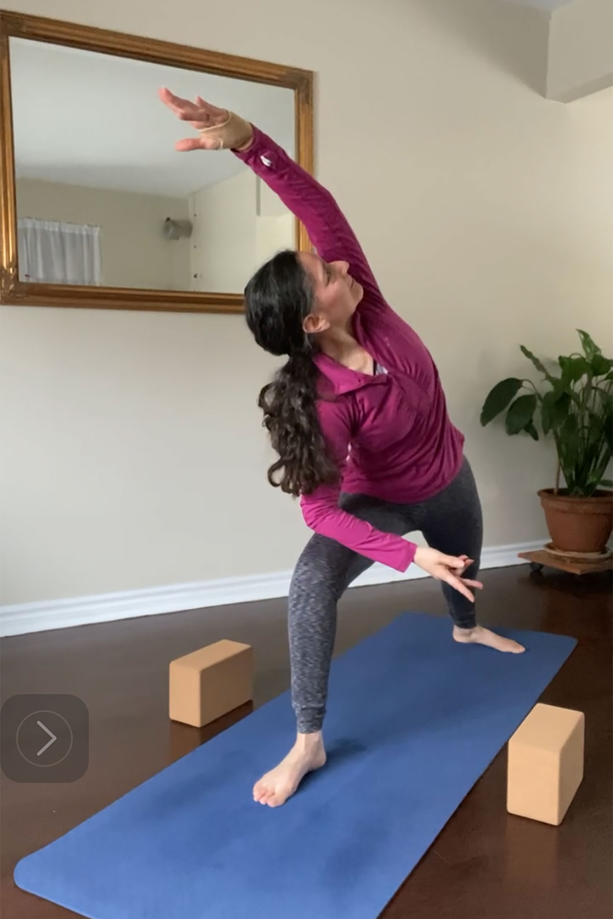 Ananda Yoga : FUNdamental series