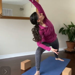 Ananda Yoga : FUNdamental series
