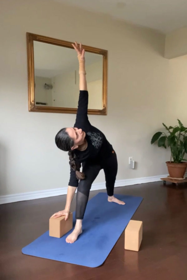 Ananda Yoga : Drop In Class
